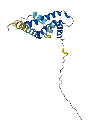 ARL2BP 3D structure