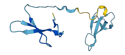 POLR3K 3D structure
