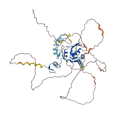 ZBTB32 3D structure