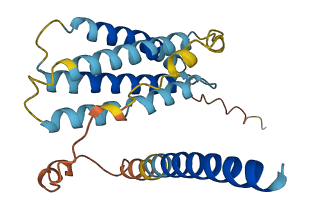 TMEM98 3D structure