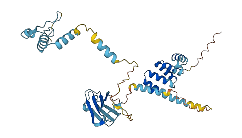 SUGT1 3D structure