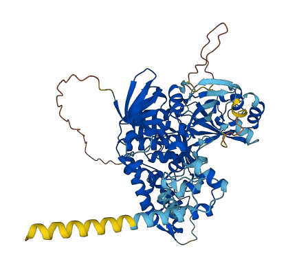 MTO1 3D structure