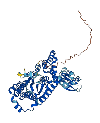 YARS2 3D structure