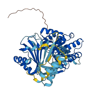 COQ6 3D structure