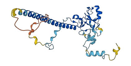 NOSIP 3D structure