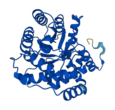 DERA 3D structure