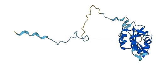 FCF1 3D structure