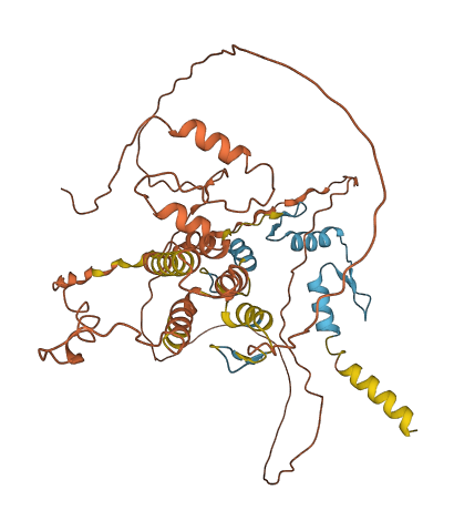 ZBTB12 3D structure