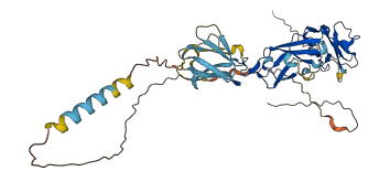 SIGLEC9 3D structure