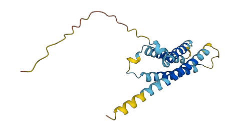 PLLP 3D structure
