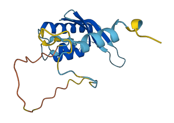 SNX24 3D structure