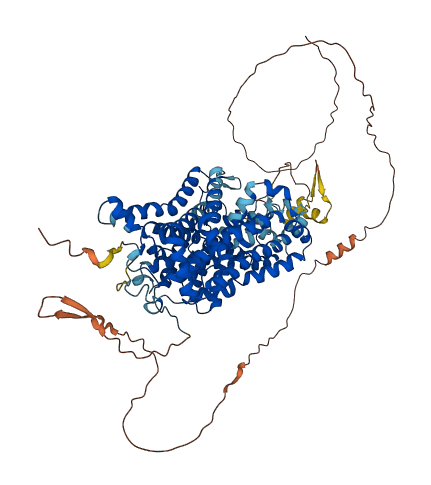 SLC6A5 3D structure