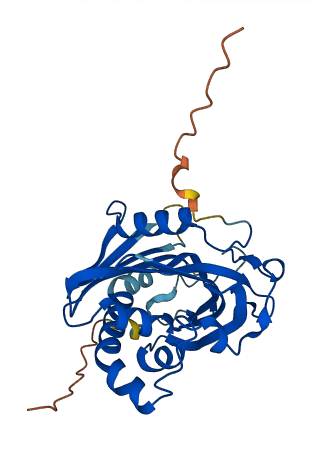 STARD10 3D structure
