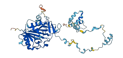 IFT52 3D structure
