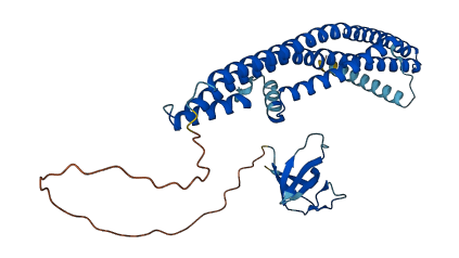 SH3GLB1 3D structure
