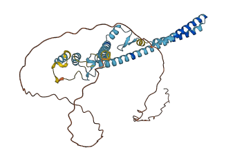 LUC7L2 3D structure