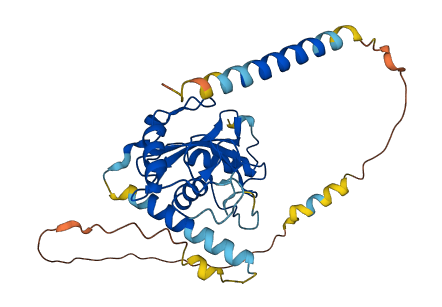 UBE2J1 3D structure