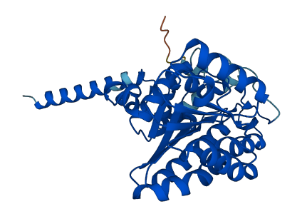 DHRS7 3D structure