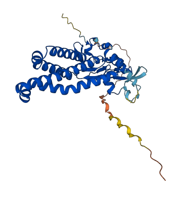 ZDHHC9 3D structure