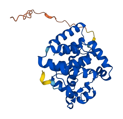 COQ4 3D structure