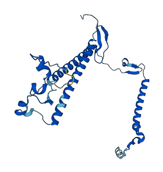 UTP11 3D structure