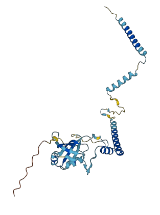 RRP7A 3D structure