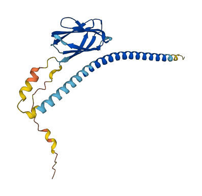 TMED5 3D structure