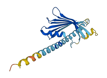 PRELID3B 3D structure