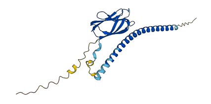 TMED7 3D structure
