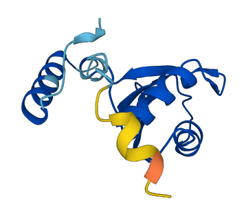 SF3B6 3D structure