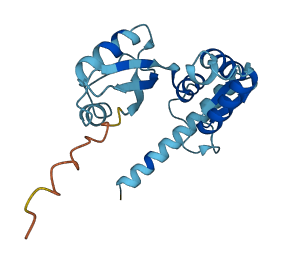 MRPL11 3D structure