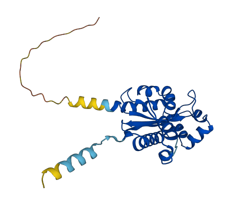 REXO2 3D structure