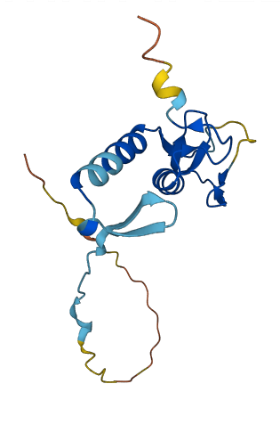RNF11 3D structure