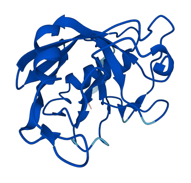 PPIL1 3D structure