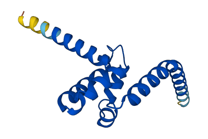 MED31 3D structure