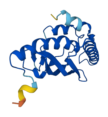 UFC1 3D structure