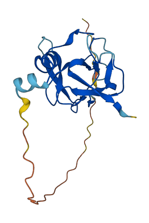 MSRB2 3D structure