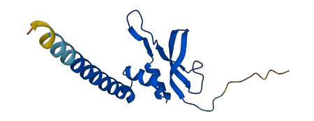 MRPS16 3D structure