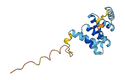 FIS1 3D structure