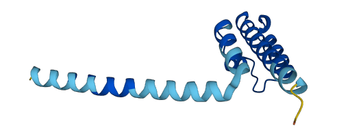 PAM16 3D structure