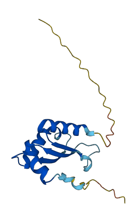 BOLA1 3D structure