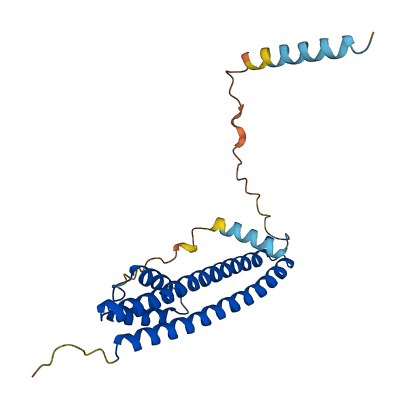 CHMP3 3D structure