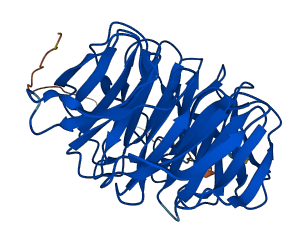 STRAP 3D structure