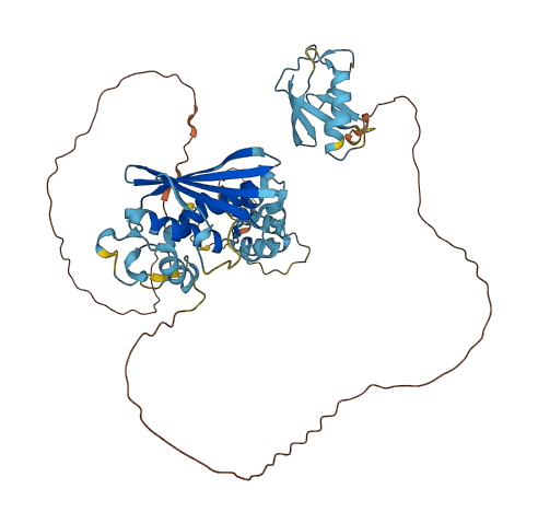 FBXO7 3D structure