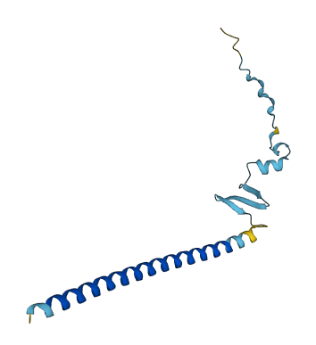 CBY1 3D structure