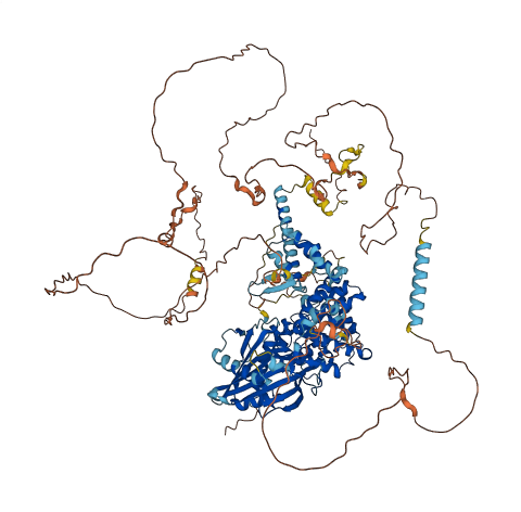STARD13 3D structure