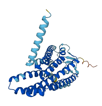 OR2W1 3D structure