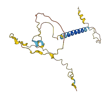 SIT1 3D structure