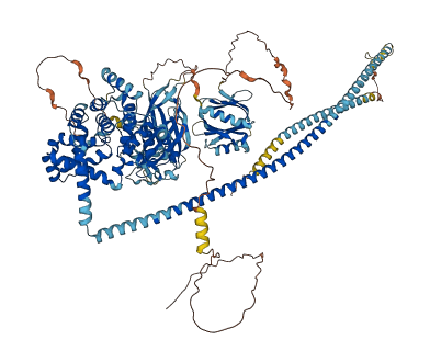 RABGAP1 3D structure