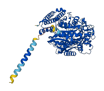 NAALAD2 3D structure